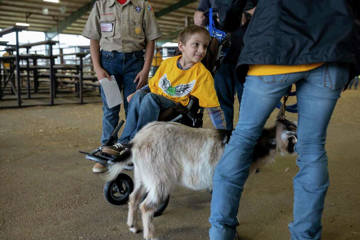 Caleb Estay, 10, pets Oreo at Angel's Rodeo at the Montgomery County Fairgrounds Equestrian Center, Sunday, March 1, 2020.