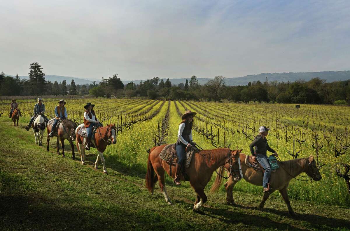 Sonoma’s Bartholomew Estate provides a horseback tour of its vineyards for guests. Wineries are leaning into physical activities as a way not to get left behind by the wellness movement.