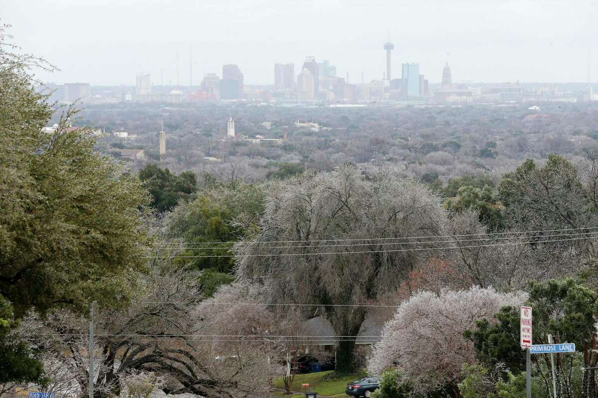 Ice accumulates on vegetation throughout San Antonio, Thursday, Feb. 3, 2022. A strong cold front blew through the area and temperatures will remain below freezing through most of Friday.