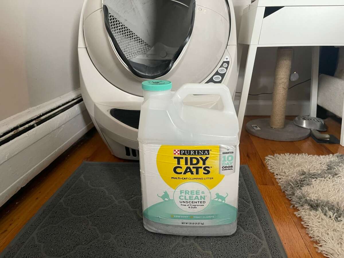 An honest LitterRobot review from a lifelong cat owner