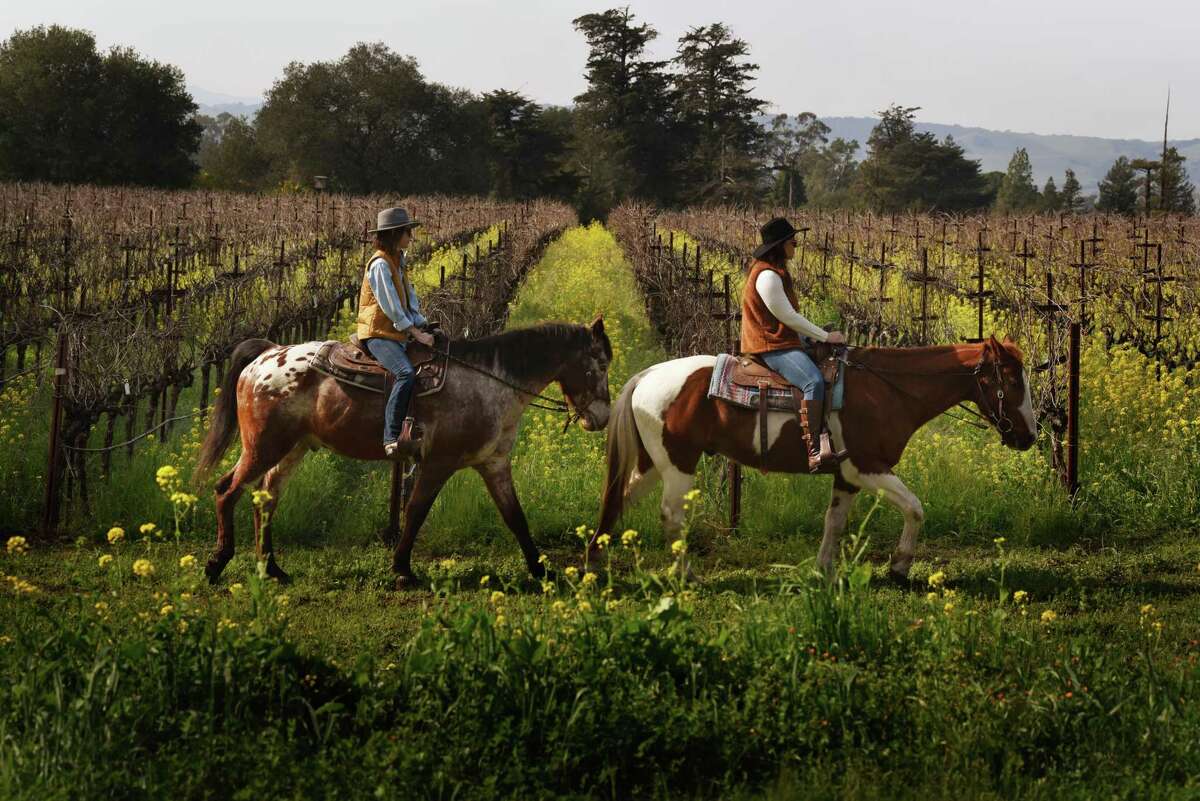 Sonoma’s Bartholomew Estate is one of several wineries offering “wellness” experiences, including horseback rides and hikes, that can help attract younger, health-conscious consumers.