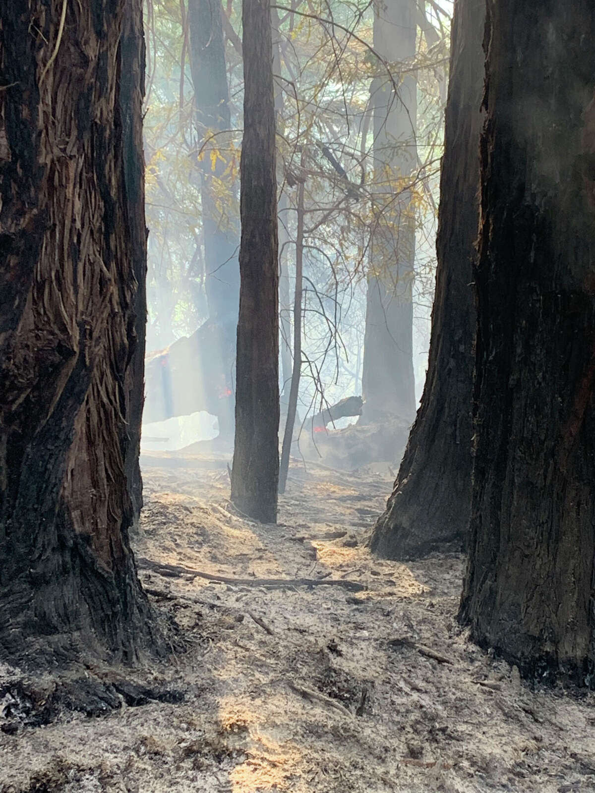 A wildfire broke out in Marin County north of Stinson Beach on Feb. 9, 2022.