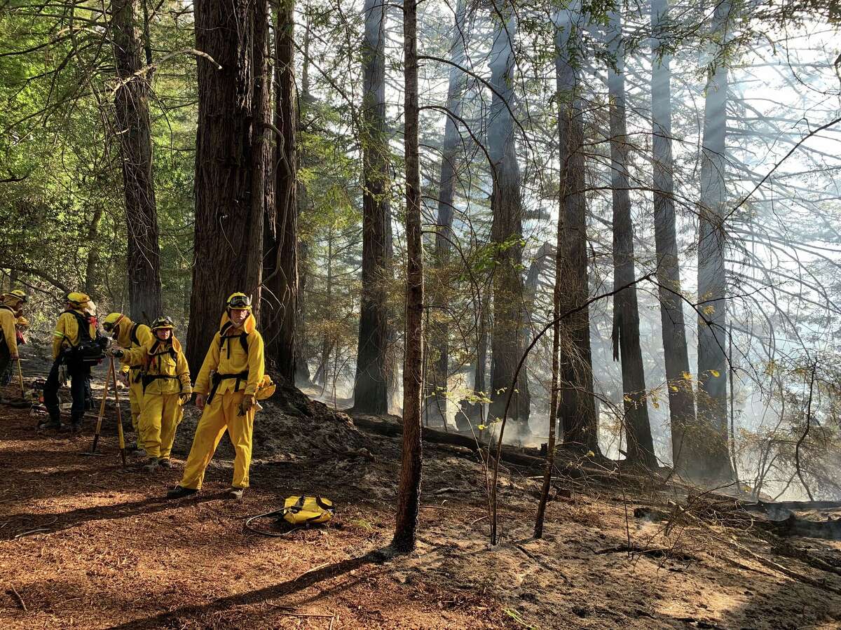 Firefighters on the scene of a wildfire in Marin County north of Stinson Beach on Feb. 9, 2022.