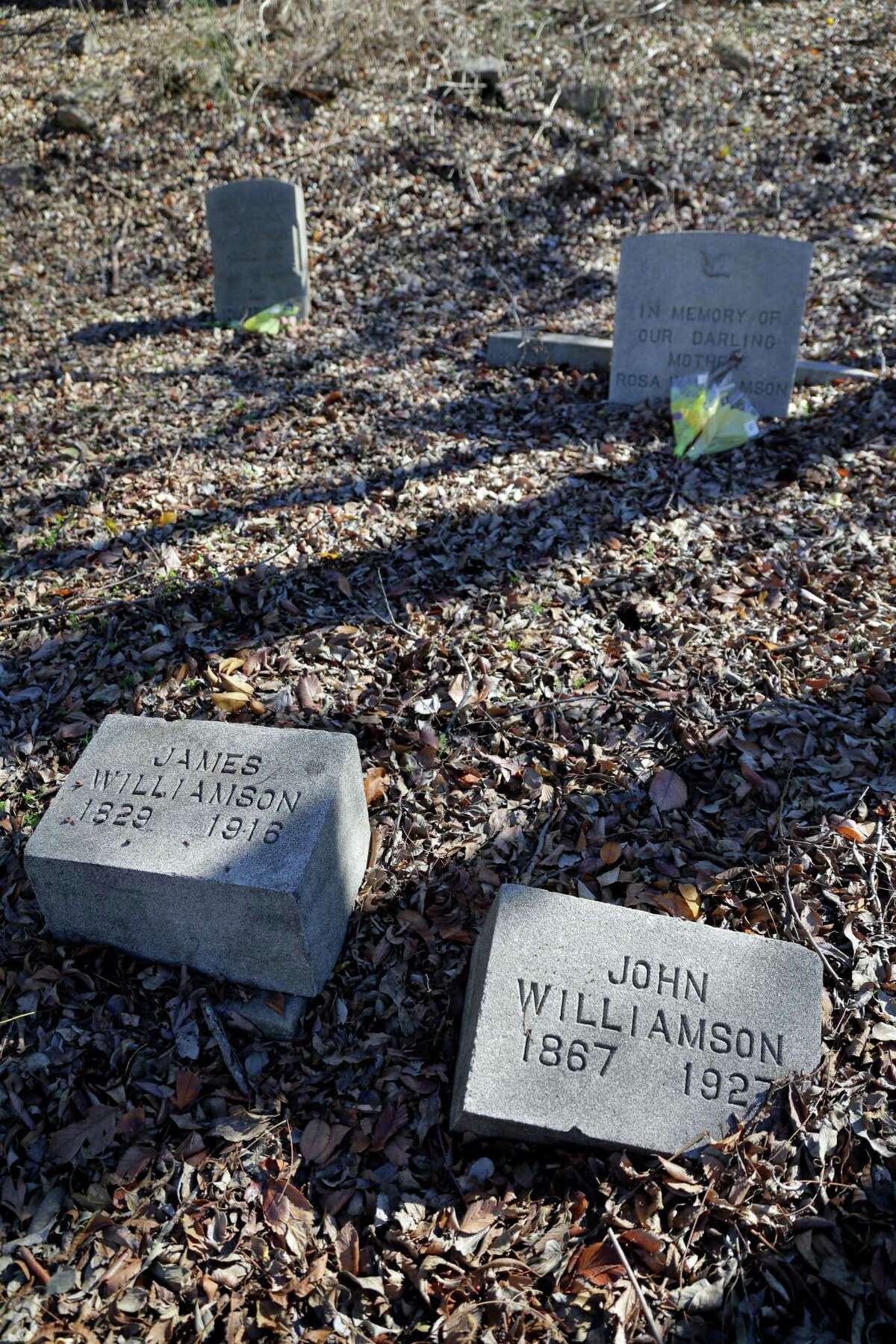 Some of the weed and leaf covered graves in the Williamson family plot in the northeast section of the historically black Olivewood cemetery Saturday, Feb. 5, 2022 in Houston, TX. Some five volunteers spent the morning weed whacking, raking leaves and doing general clean up across the cemetery.