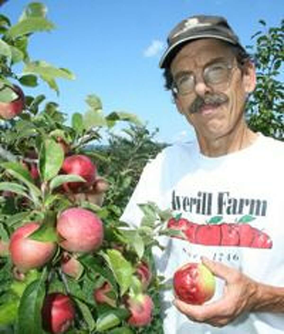 McIntosh Apples (5 lb.) - Sam's Club