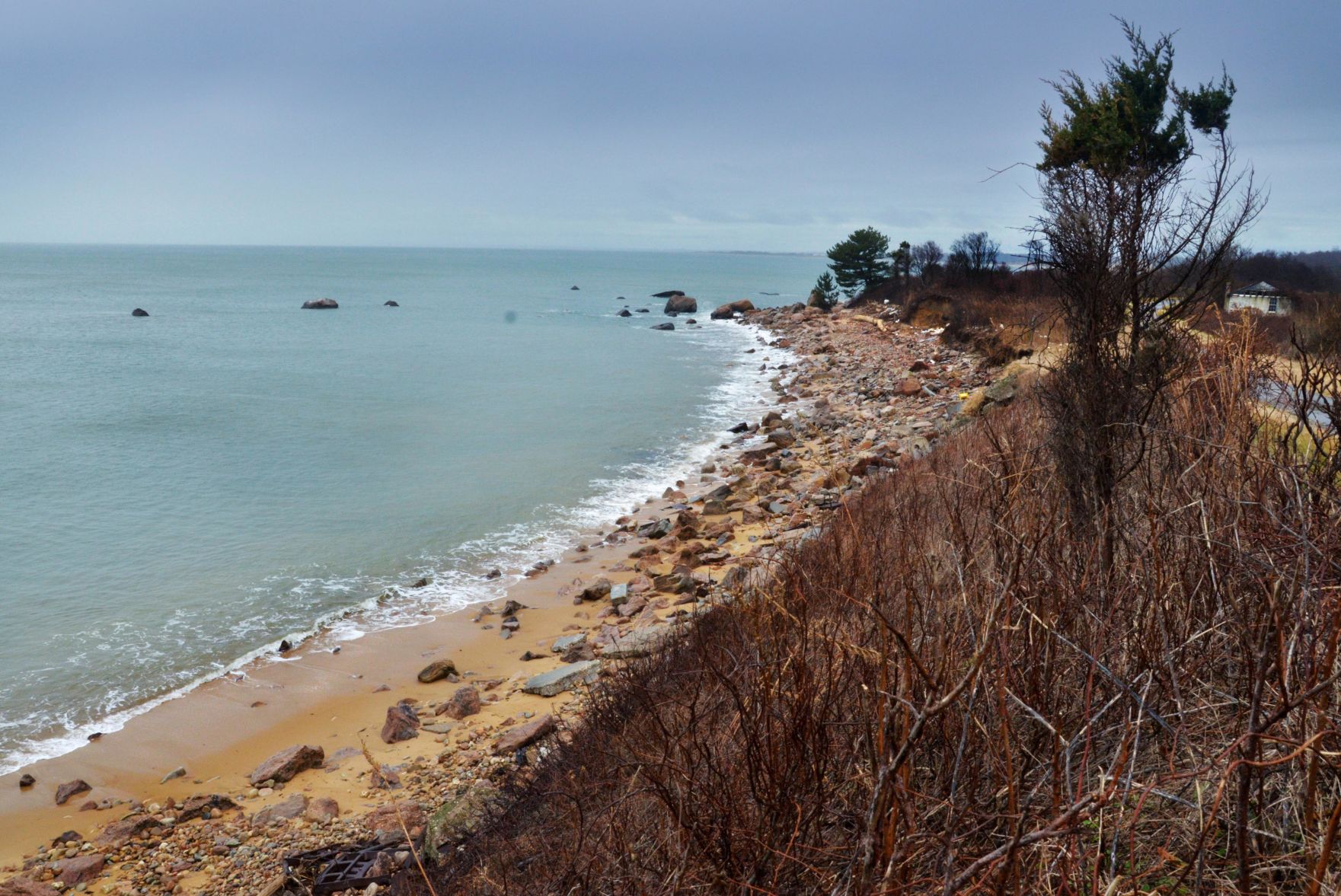 NY protection of Long Island Sound marine life good for Connecticut