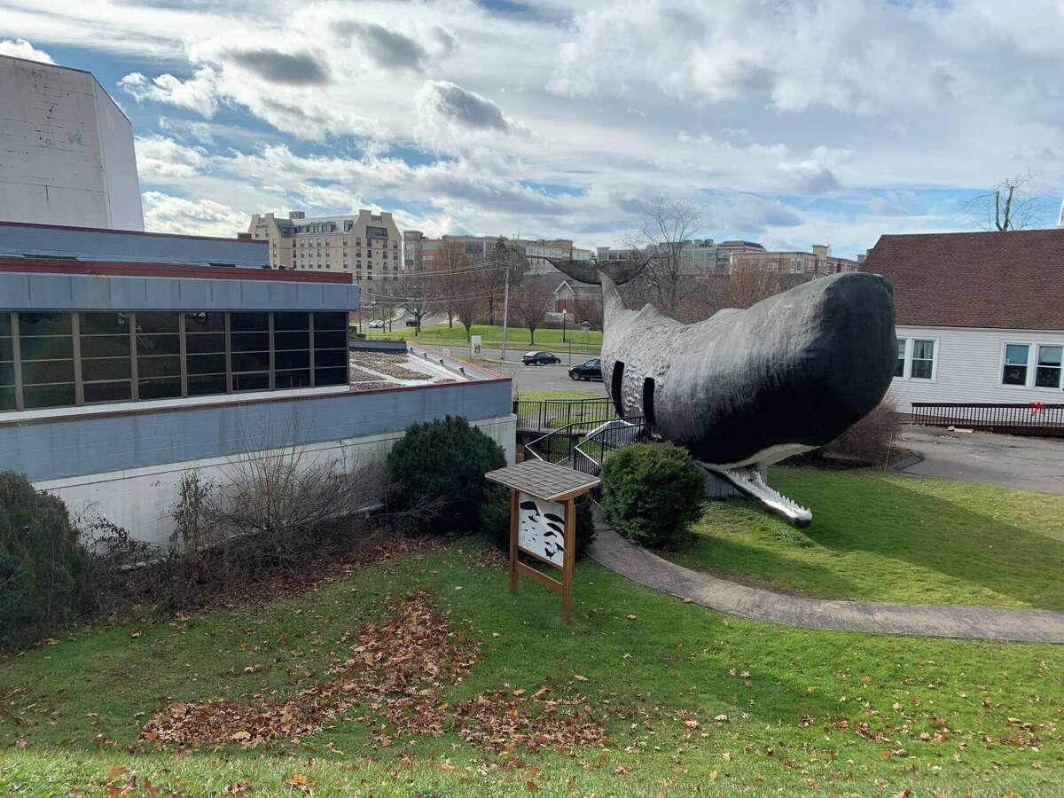 Conny the Whale has stood outside the Children's Museum for 45 years now. The museum is slated to move to a new location in Hartford this spring, and officials are contending with the cost it will take to move the whale with them.