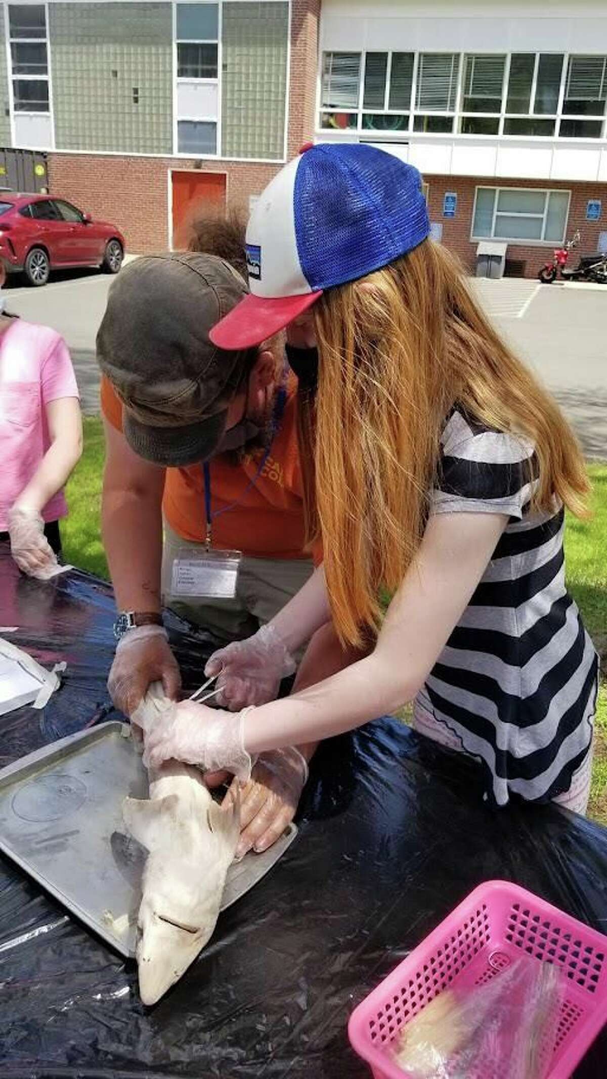 Students dissect a shark through a grant-funded program.