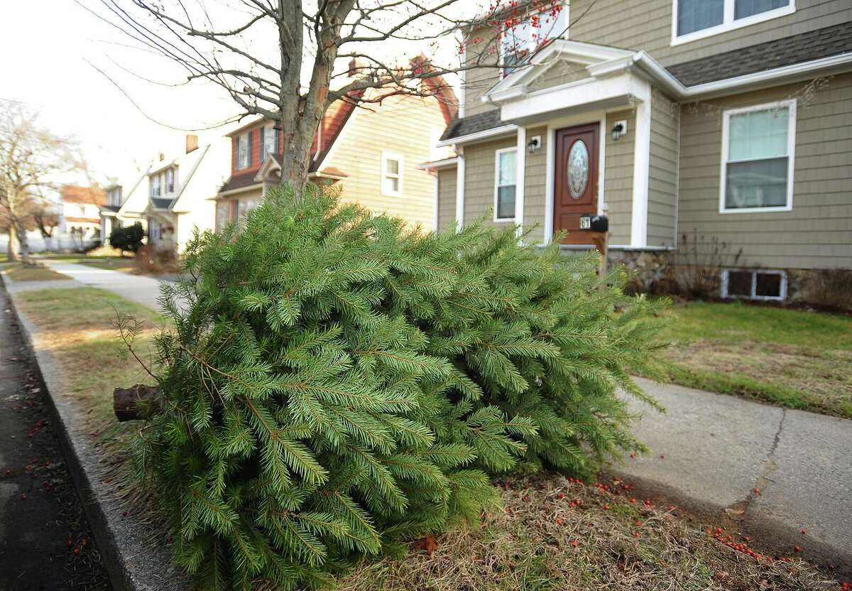 Christmas tree disposal in CT How to do it in your city or town