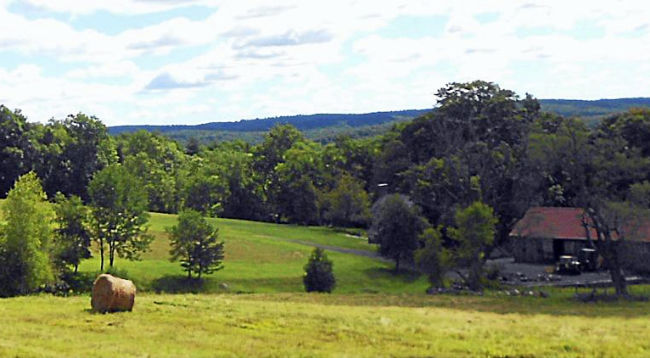 New Milford farm preserved for agricultural production