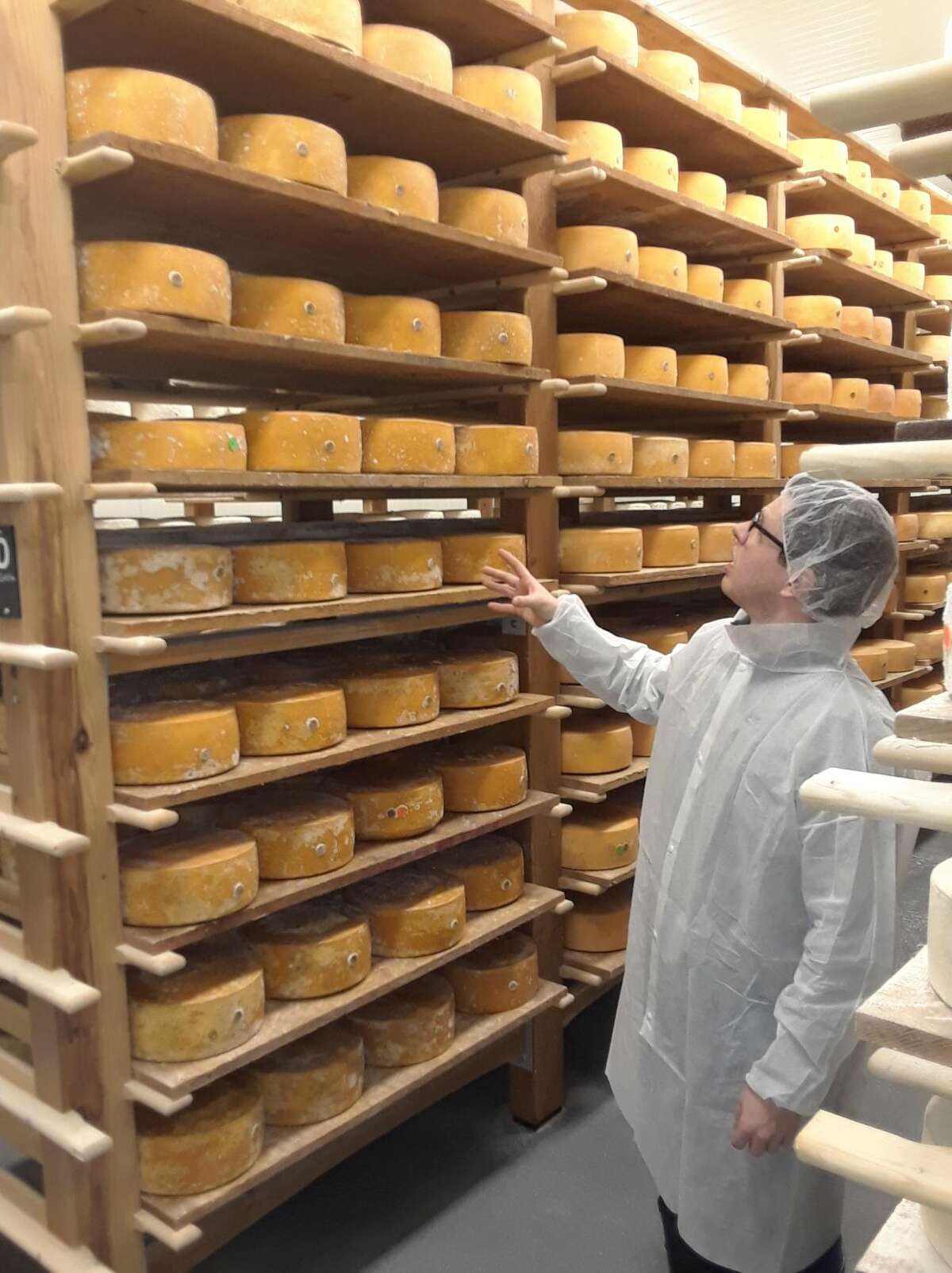 Bulk Cheese Warehouse - Cheese Store in Nutana