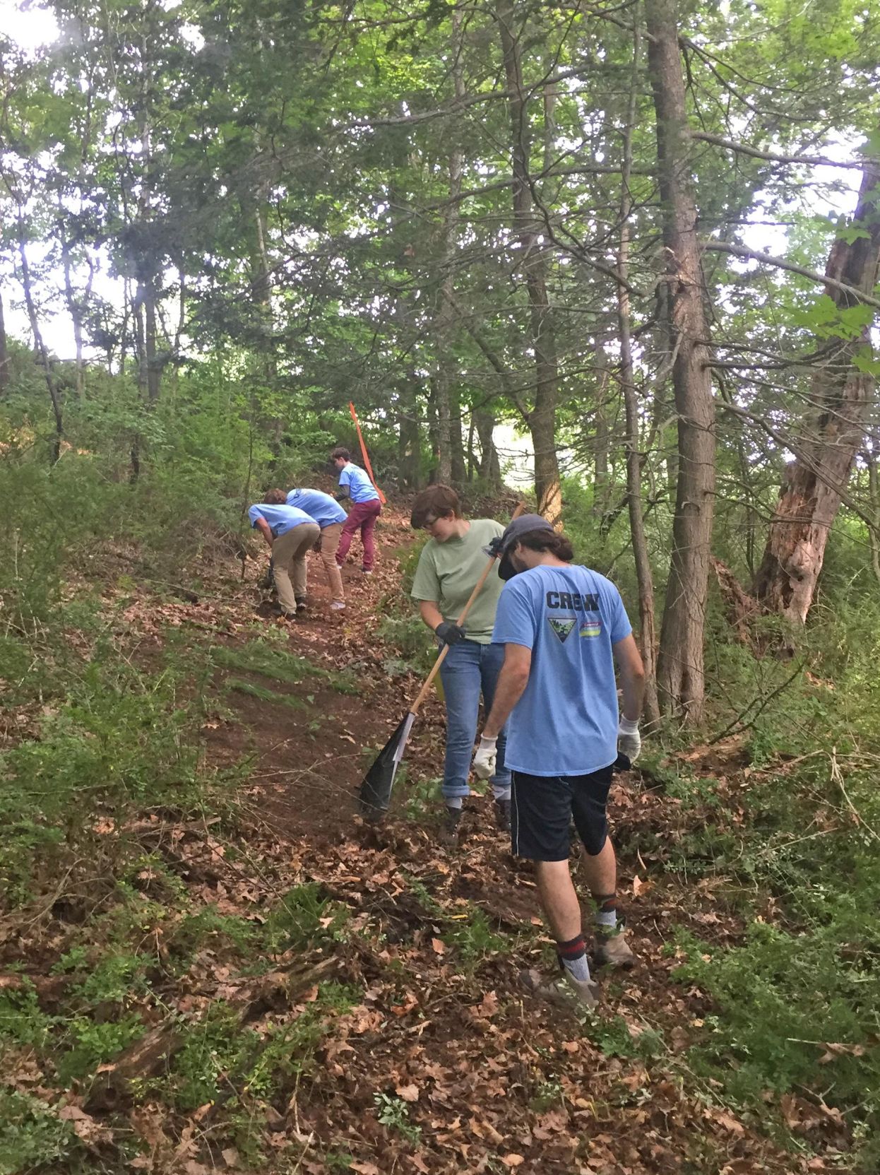 Roxbury Land Trust to open new trail connector