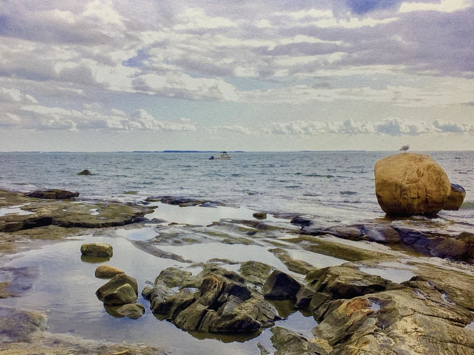 Charlotte Hungerford Hospital Artist of the Month inspired by Andrew Wyeth