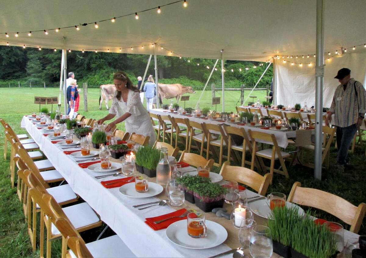 Setting up tables decorated with small river stones and potted herbs, against a background of friendly meandering cows.
