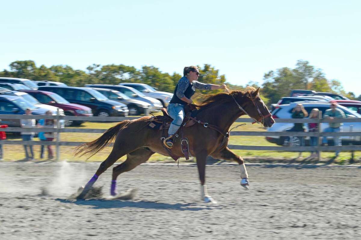 Harwinton Fair 2024 Connecticut Orly Tracie