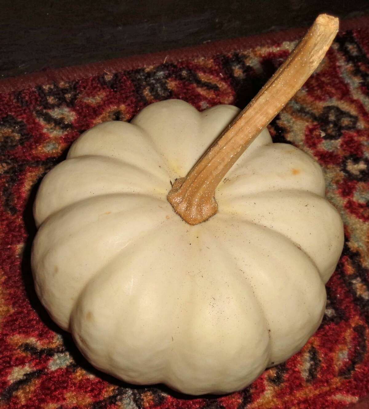 “When I opened my take-out bag, on top of the food container was an eerie white pumpkin. I like to decorate with gourds in the Fall, but I had not seen anything like that at the bar. When I sent Marilyn a message, her response was ‘It’s from the ghost.’ ”