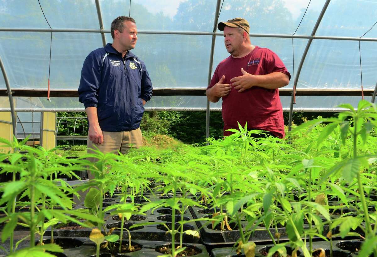 Partick O’Hara, who operates O’Hara’s Nursery, right, talks to state Rep. JP Sredzinski (R-112) about the growth of hemp at his business in Monroe on July 2, 2019. The nursery is renting out some of the land there to grow industrial hemp.