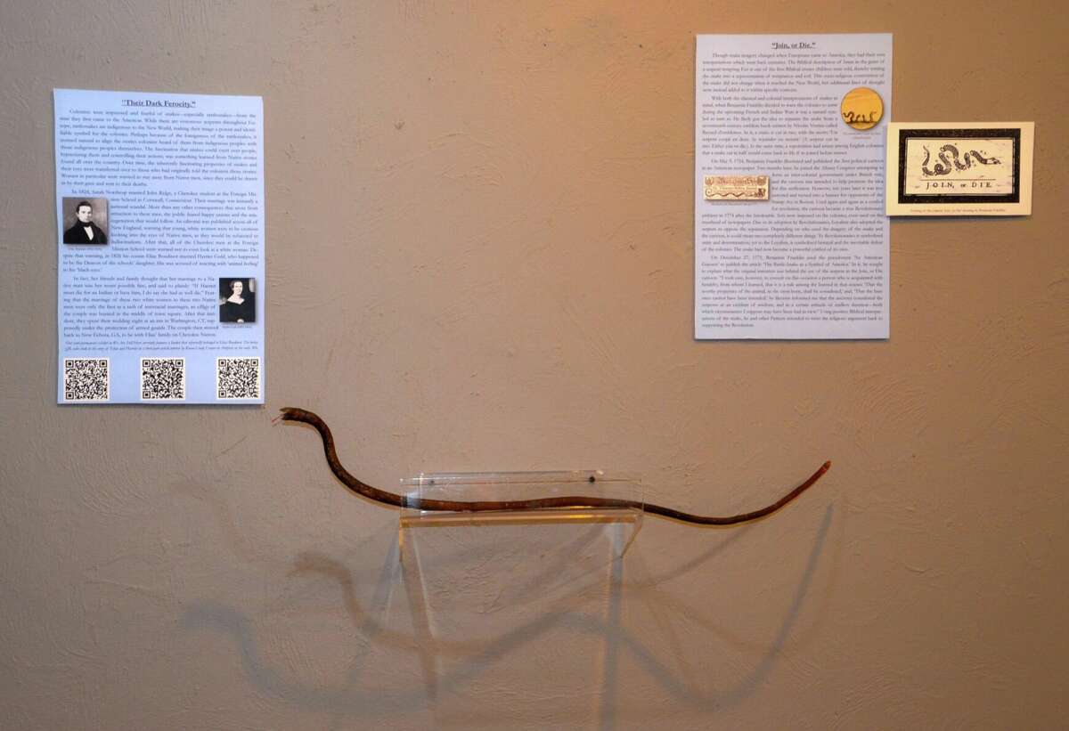 Part of the snake exhibit at IAIS in Washington.