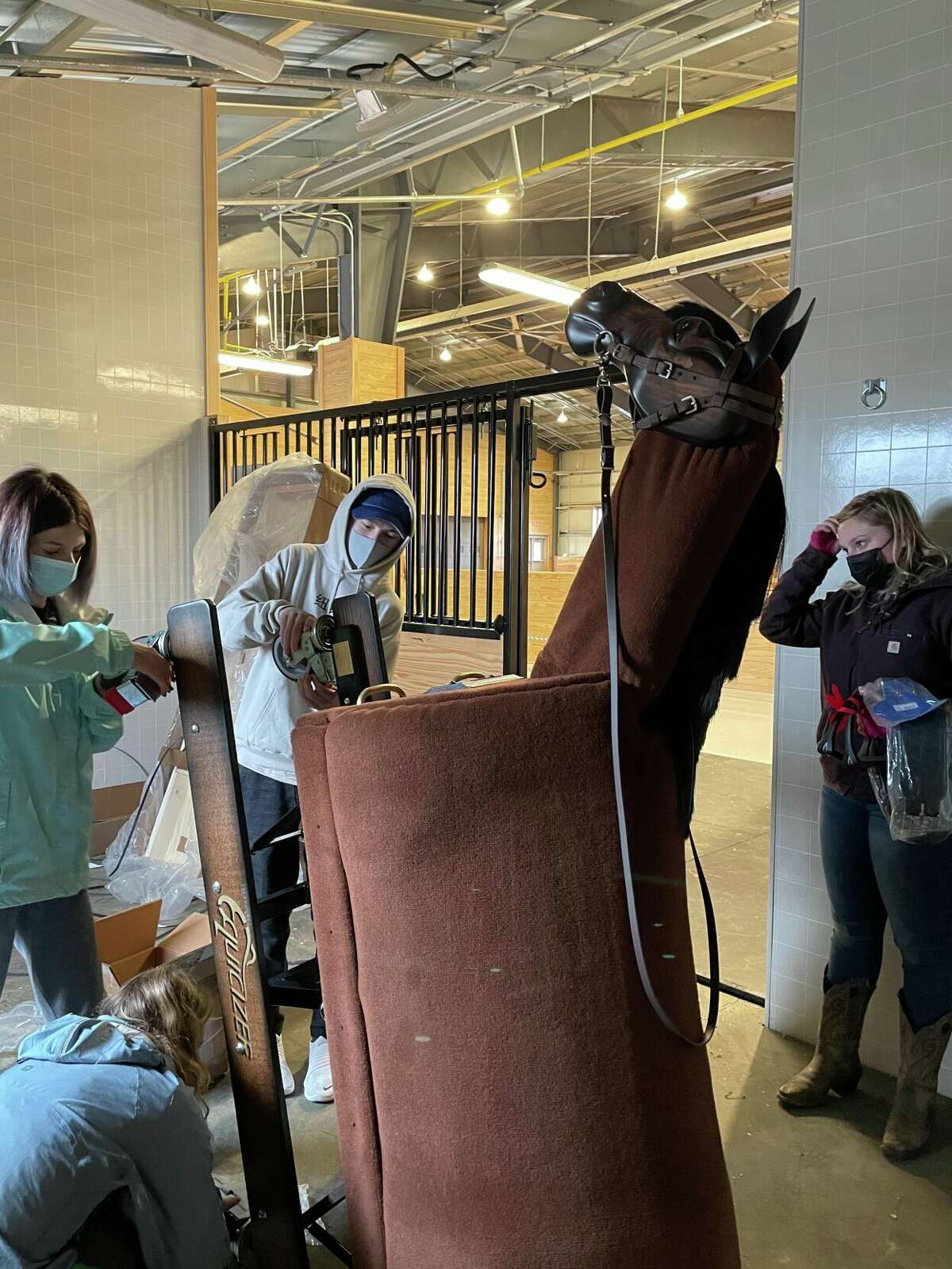 Students grooming Maverick, the mechanical horse