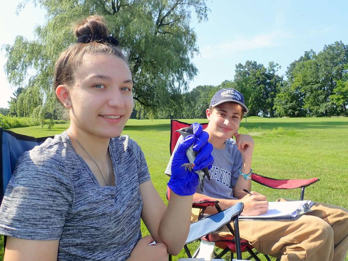 ‘Training for a potential career in conservation’ Kent Land Trust