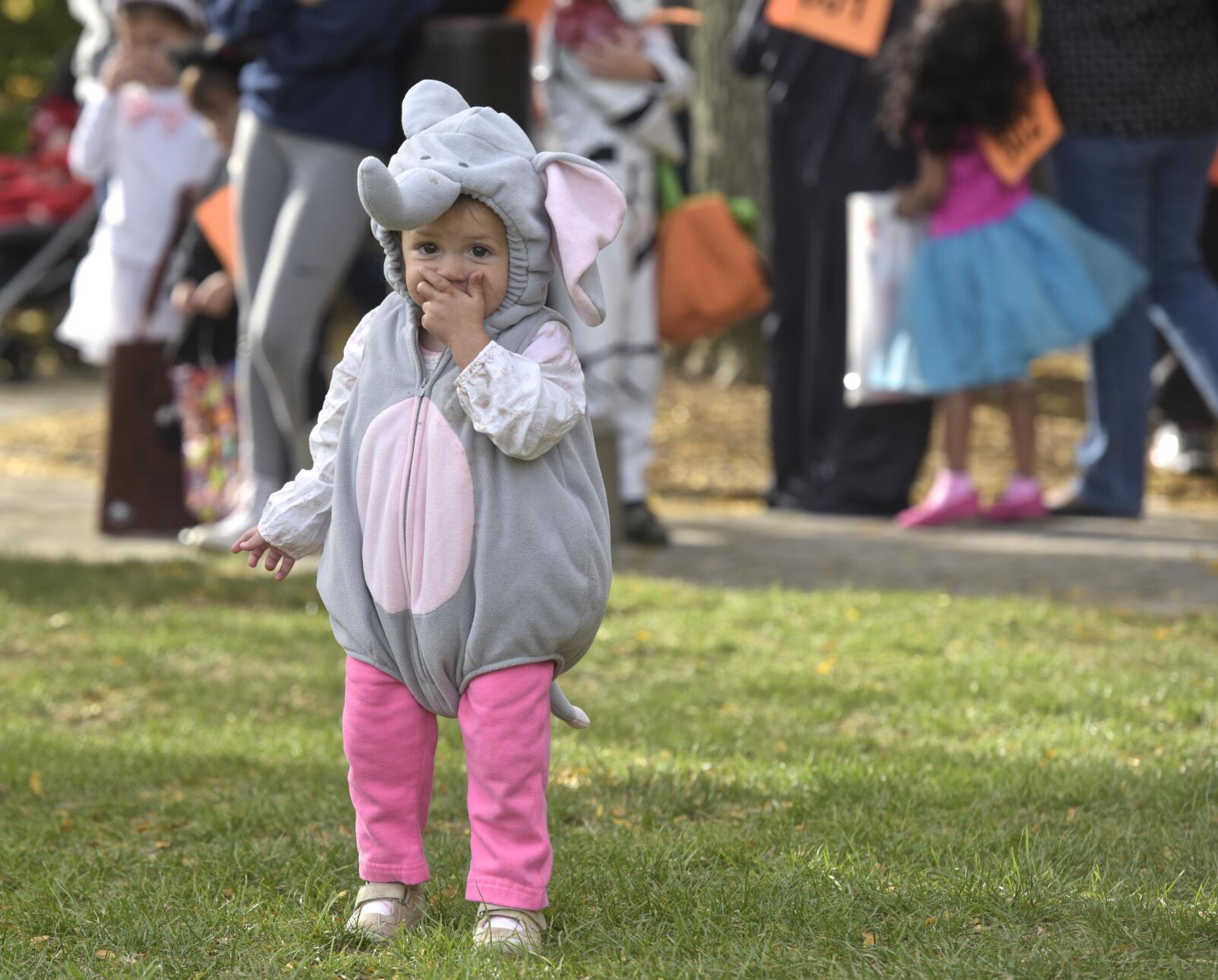 5 familyfriendly activities in Connecticut for Halloween weekend