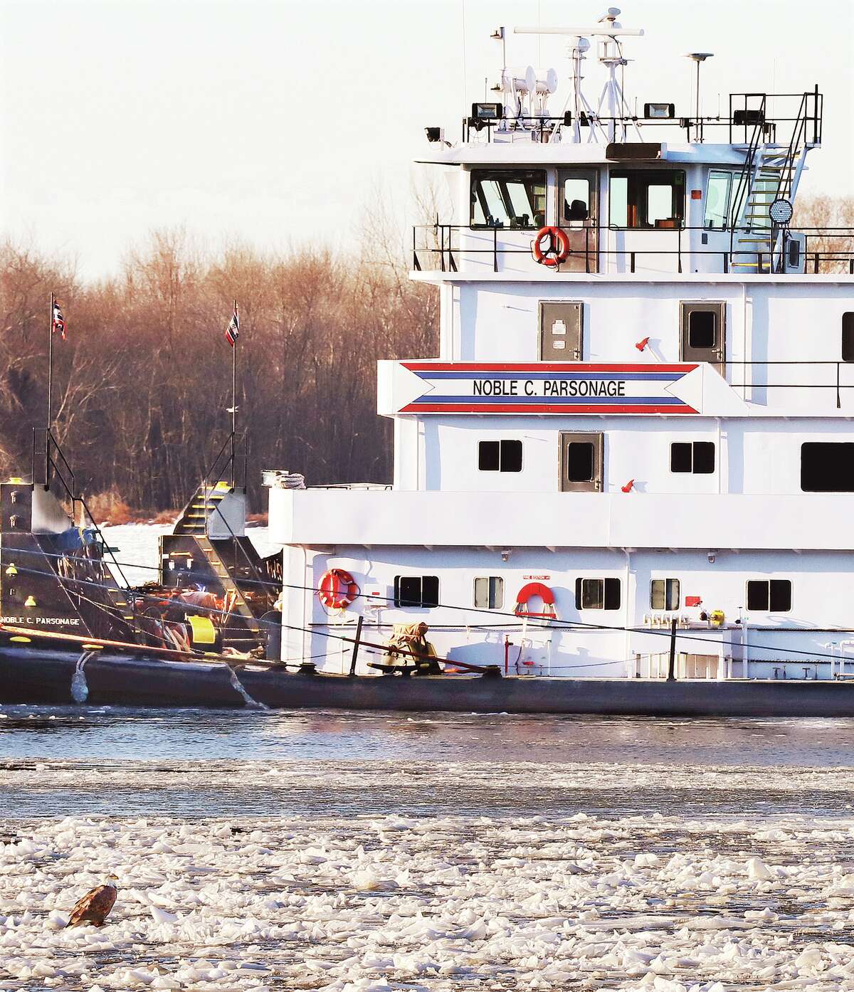 John Badman|The Telegraph A lone eagle was sitting on the slow moving ice flow of Alton Lake in Godfrey Thursday. The hungy bird of prey was paying no attention to the barges being pushed past him by the towboat Noble C. Parsonage.