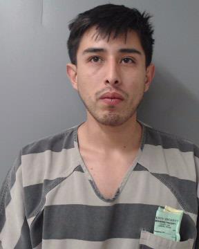 Affidavit: Man assaulted girlfriend, stabbed her dog - Vimarsana News