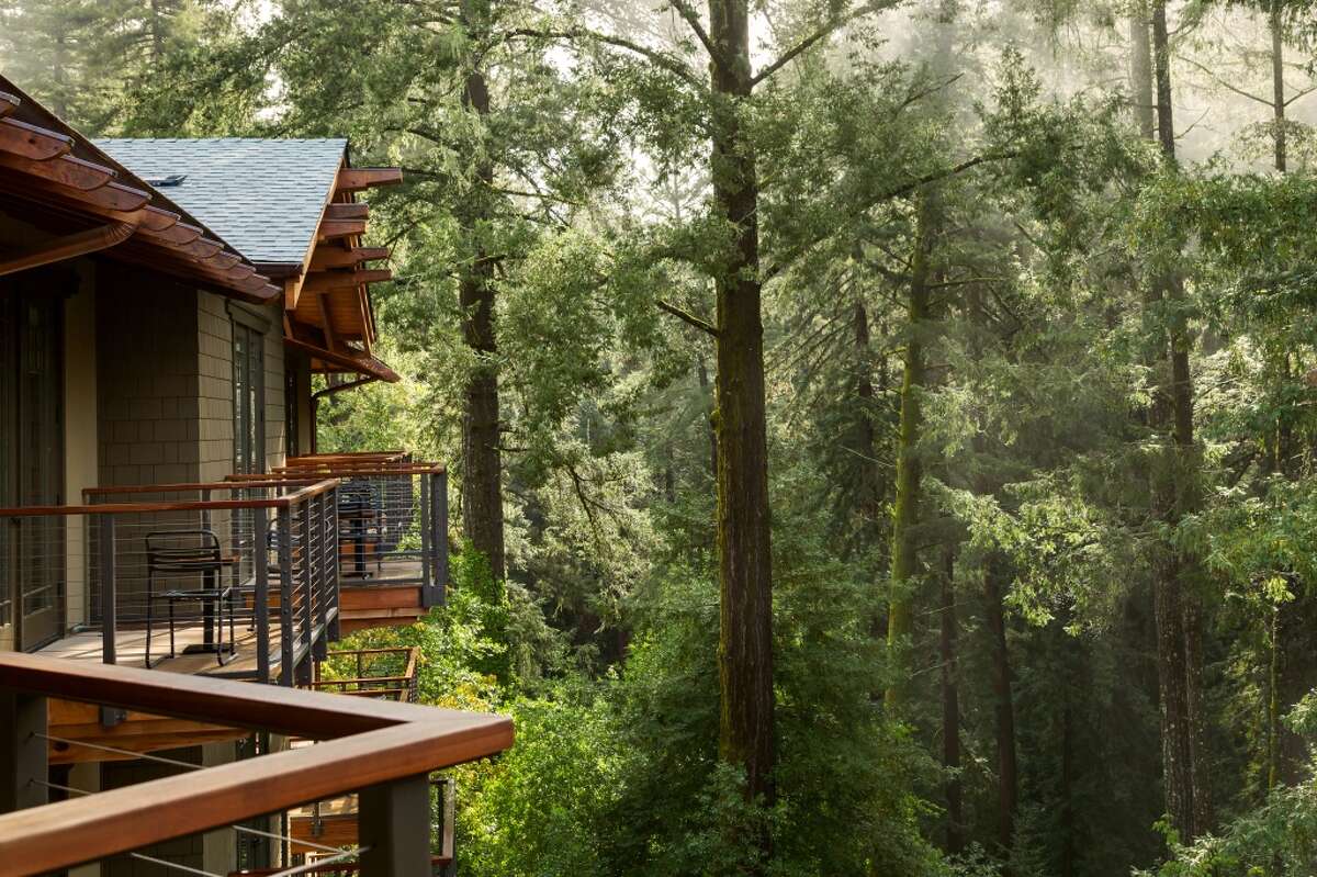 San Francisco-based Salesforce announced Thursday a partnership with 1440 Multiversity in Scotts Valley, Calif., where it will welcome its employees for team building, yoga and nature walks. 