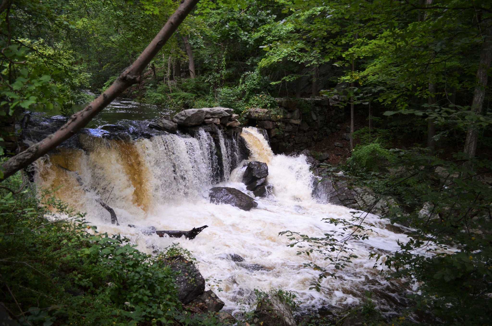 Ridgefield hires attorneys to represent town in environmental lawsuit filed by Save the Sound - Vimarsana News