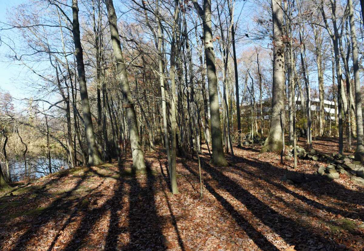 In dramatic vote, Darien Planning & Zoning Commission passes Parklands