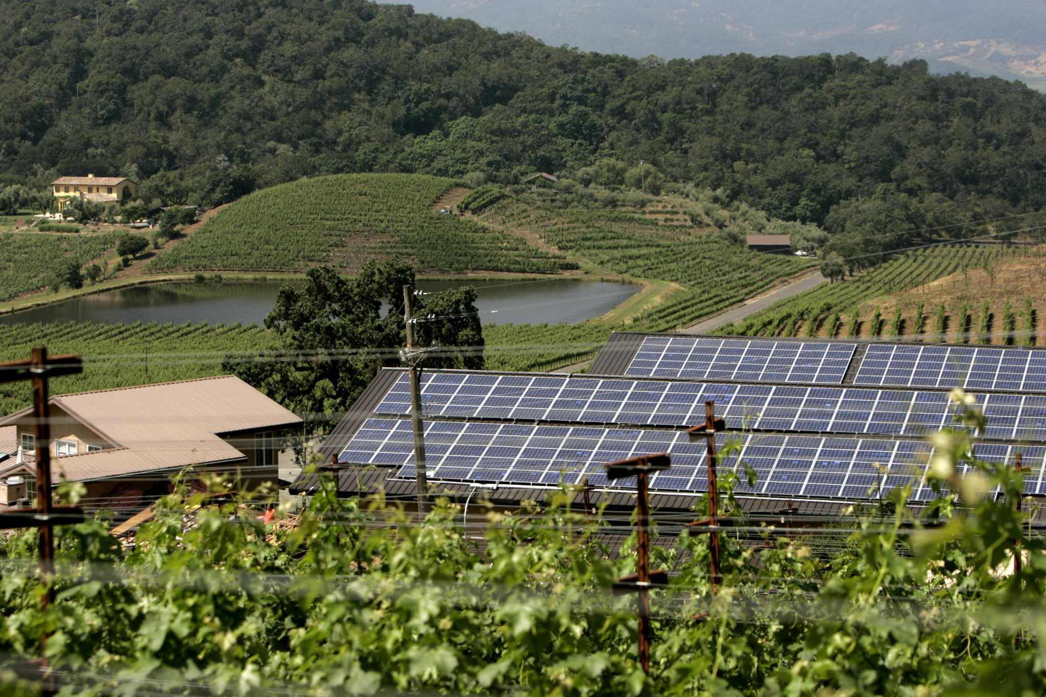 Napa's historic Shafer Vineyards sells to South Korean conglomerate for $250 million - Vimarsana News