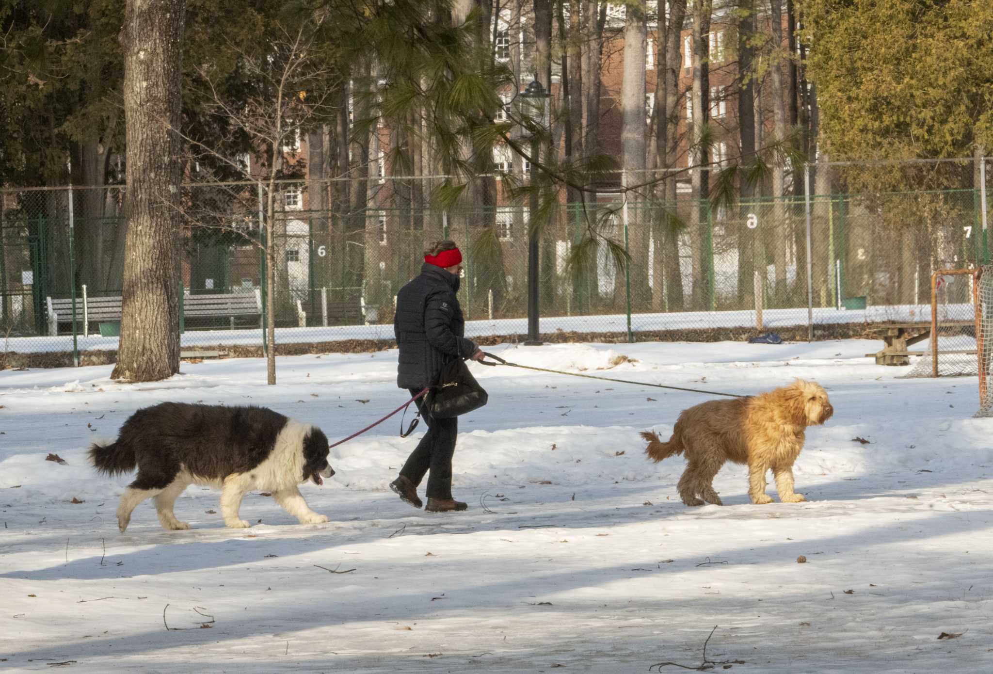 A Friday Snowstorm Significant Impacts Appear Likely Weather Service Says A Friday Snowstorm Significant Impacts Appear Likely Weather Service Says