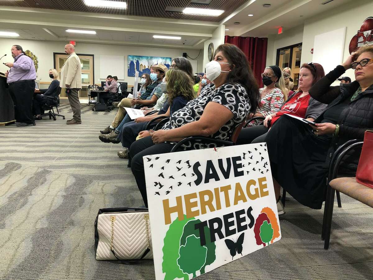 Rose Hill, president of the Government Hill Alliance, hears a presentation on a proposal to remove 105 native trees at Brackenridge Park on Feb. 16. Hill told the Historic and Design Review Commission she opposes the removal of trees, which she said was never mentioned as a possibility for voters who supported the city's 2017 bond issue.
