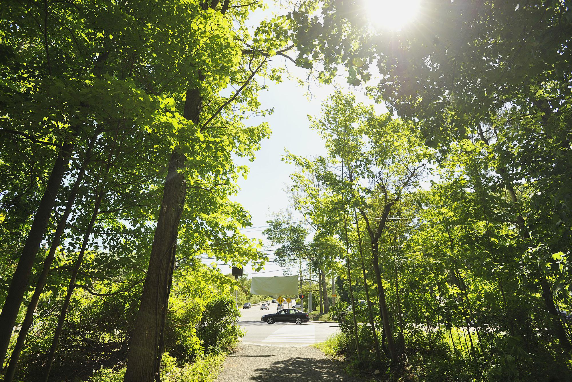Wilton looks to improve parks with ARPA money - Vimarsana News