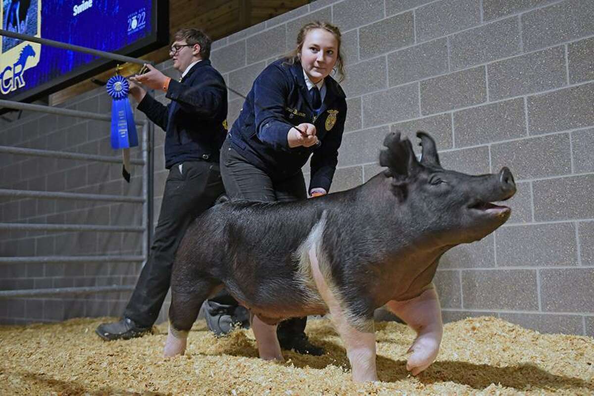 Cypress Ranch High School junior Laynee Buchanan had the Grand Champion Swine at the CFISD Livestock Show Association Show and Sale, which sold for $15,000 to Conda Maze JRP LLC.