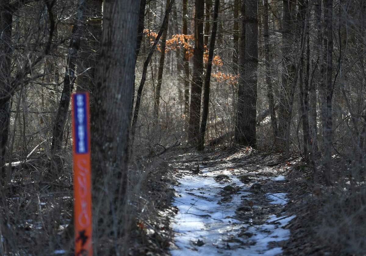 The remains of at least six people have been found in the same wooded area off Campville Road on the Litchfield-Harwinton town line near the Naugatuck River in Litchfield County since the 1980s. Most recently, the remains of Brianna Beam were discovered in December, officials said.