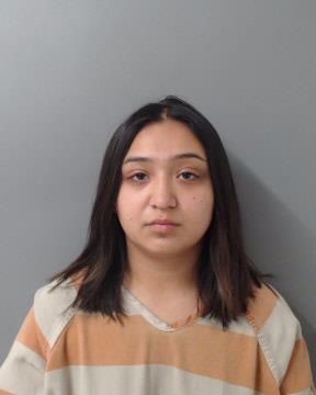 Teen allegedly tried strangling her sister - Vimarsana News