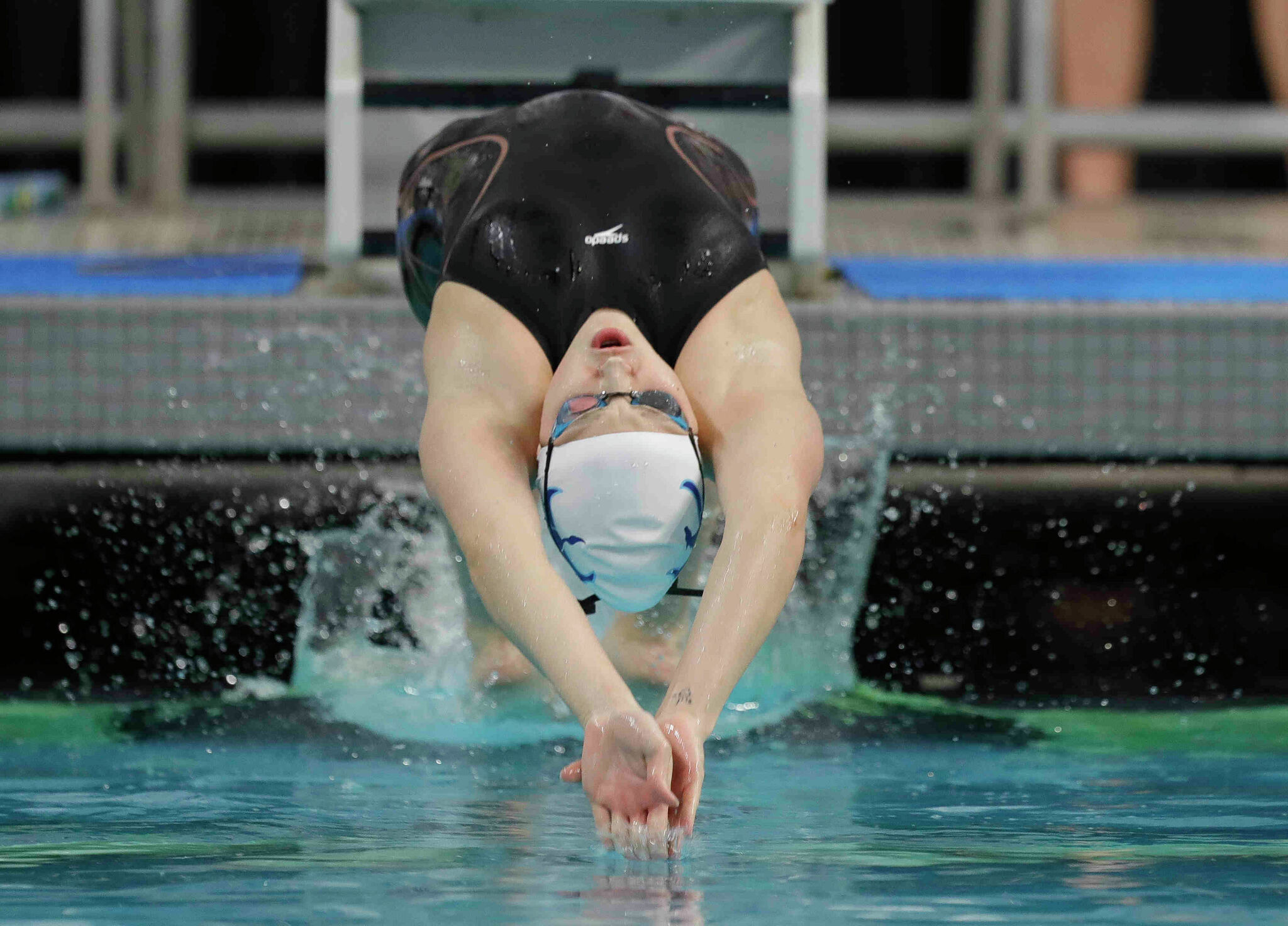 All-Greater Houston girls swimming teams