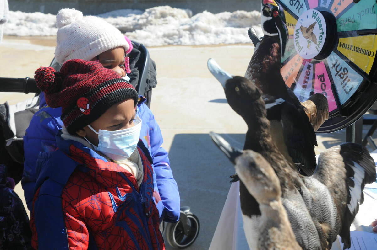 Young Ice Jam visitors learn about migratory waterfowl on Saturday.