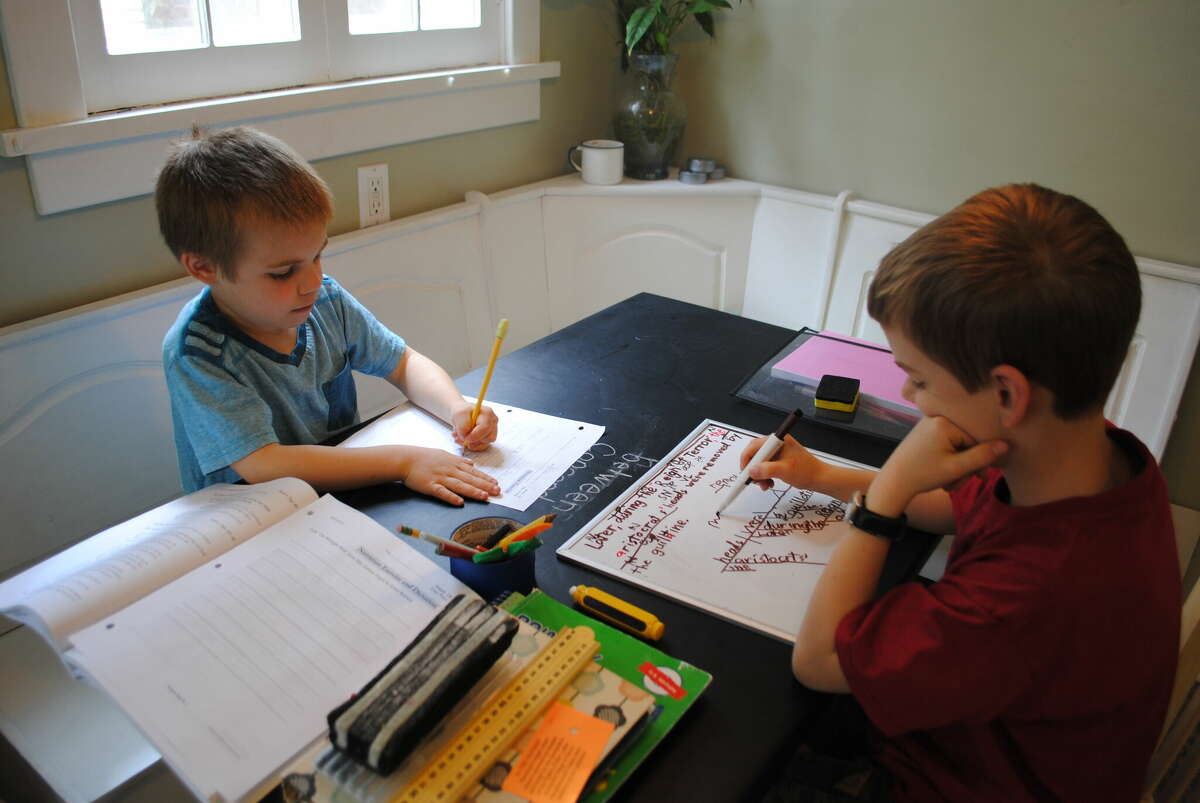 Louis Tinetti (left) and his brother Sam, hard at work in their studies. Their parents, Ryan and Anne Tinetti, are looking to start a new homeschooling collaborative this fall in order to bring together homeschooling families and others in Manistee and Benzie counties.