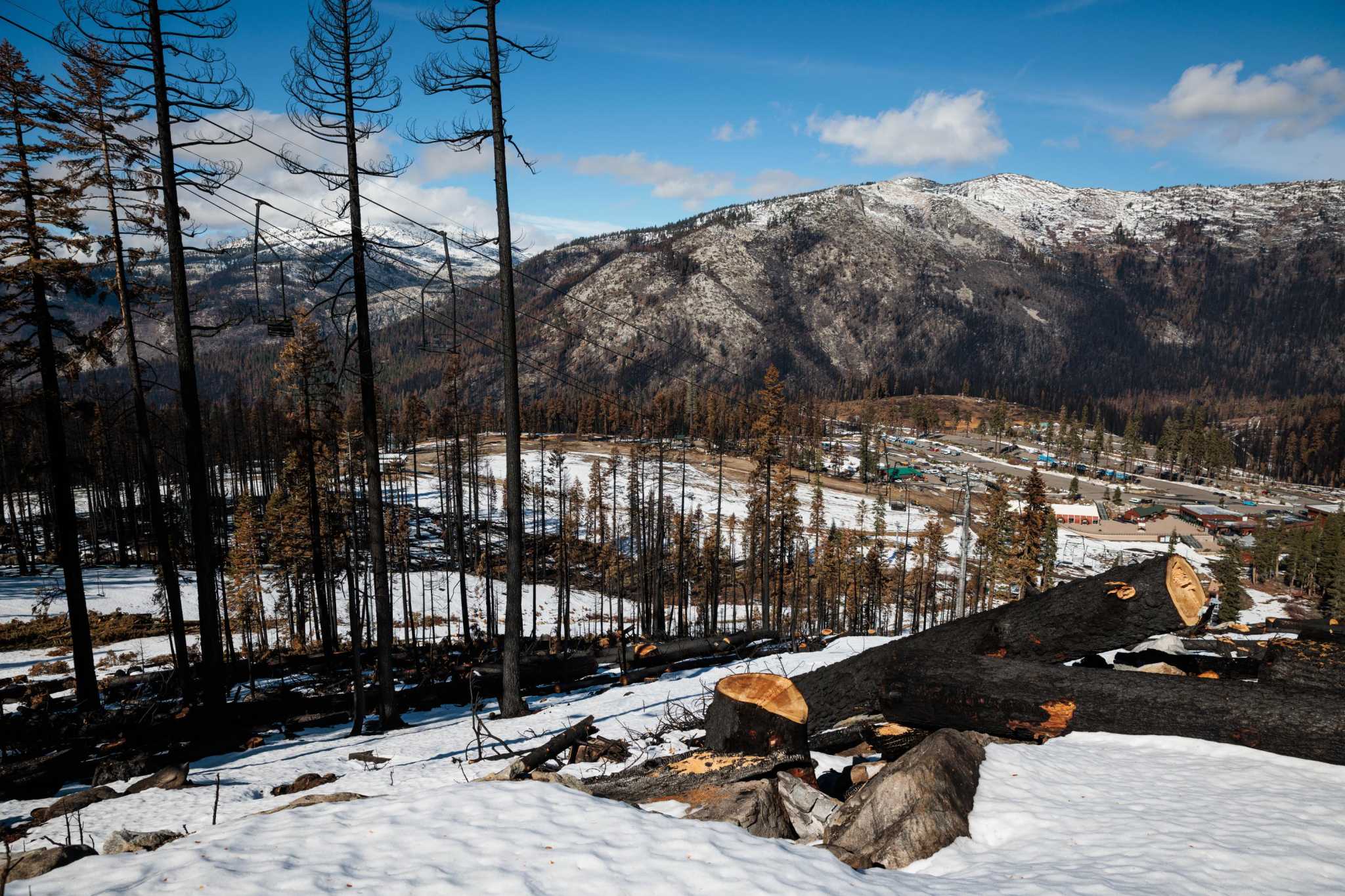 Caldor Fire scorched hundreds of thousands of acres. Now comes the plan to restore them - Vimarsana News