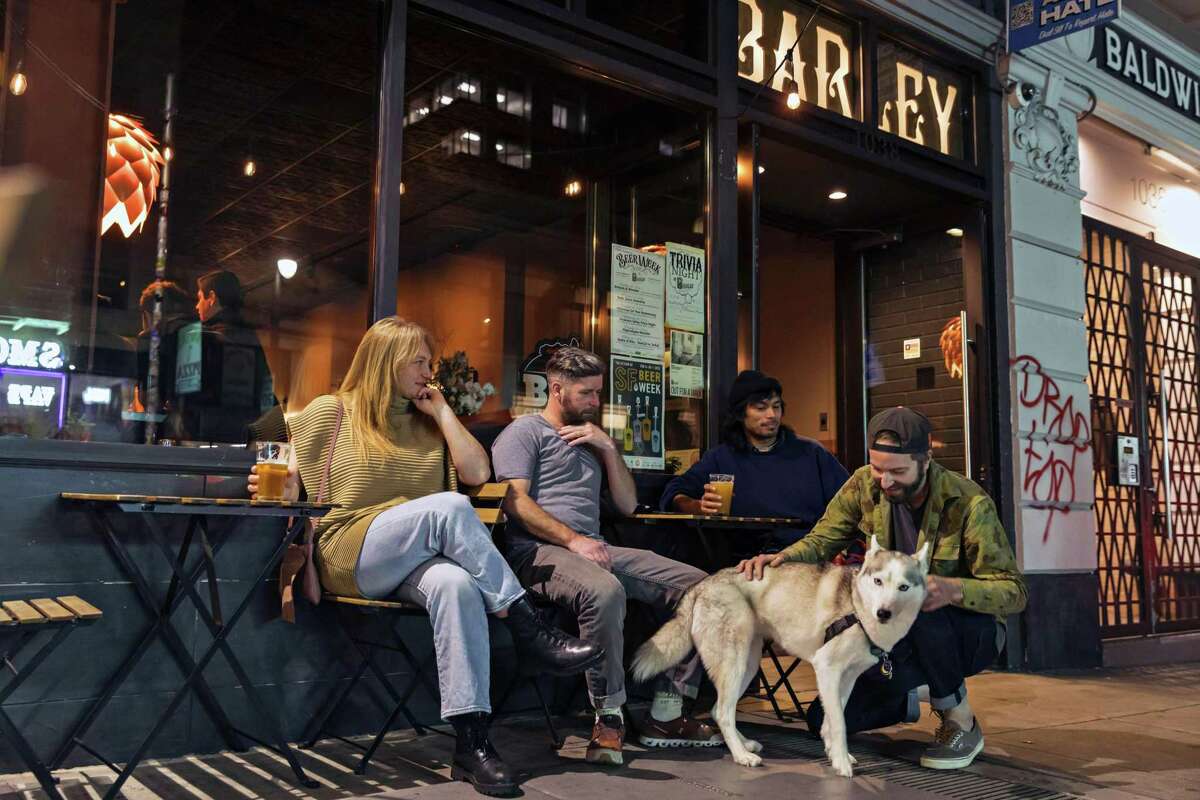 Justin Hamilton (right) stops to pet Sirius, who came with her owner, Joey Angel, during trivia night at Barley Bar in San Francisco.