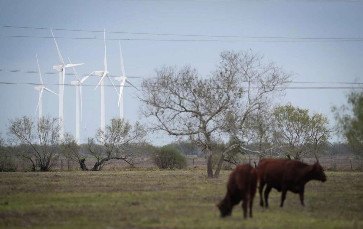 Cattle graze as wind turbines operate Friday, Feb. 11, 2022, near Sebastian.