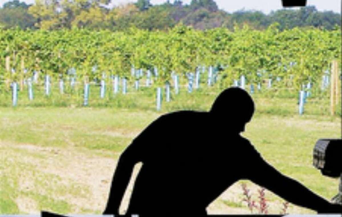 A man is silhouetted at the Grafton Winery and Vineyard in this file photo. A bill introduced by state Sen. Rachelle Crowe, D-Glen Carbon, would aid Illinois wineries hurt by the COVID-19 pandemic. 