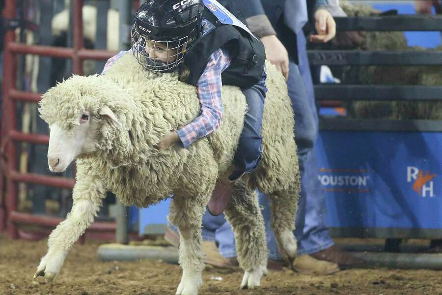 Glutton for mutton: kids love riding sheep at RodeoHouston