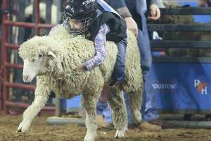 Glutton for mutton: kids love riding sheep at RodeoHouston