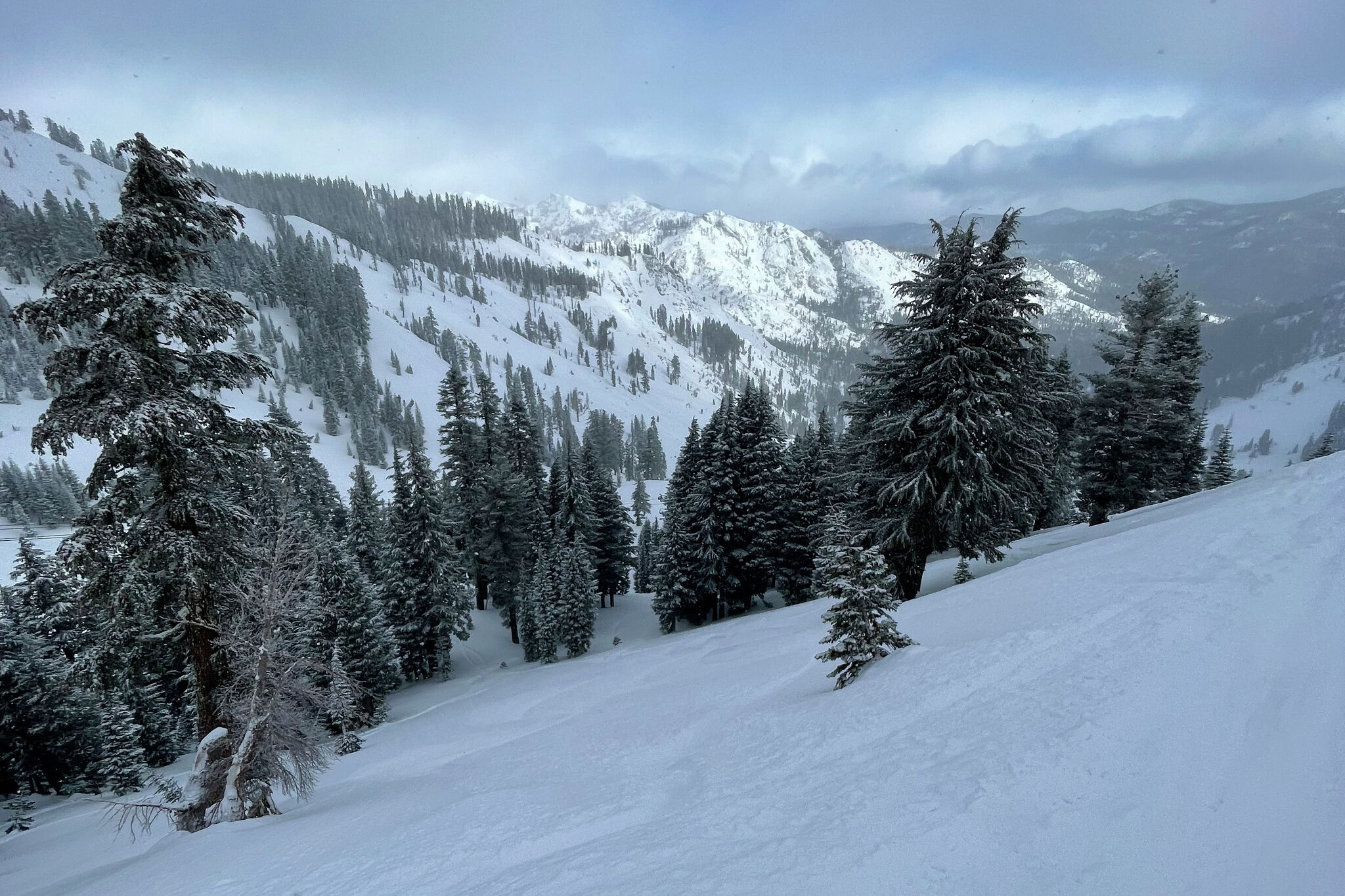 Record cold on tap for San Francisco Bay Area after rain and snow break