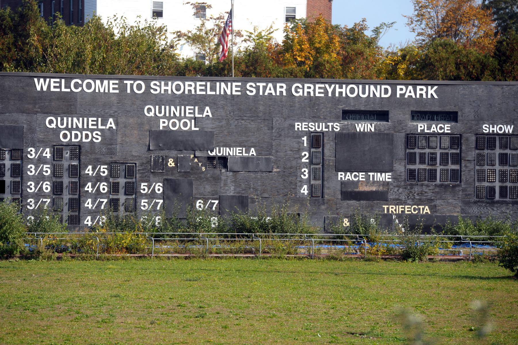 Dog racing ended in CT in 2005, but animal rights advocates want it officially illegal - Vimarsana News