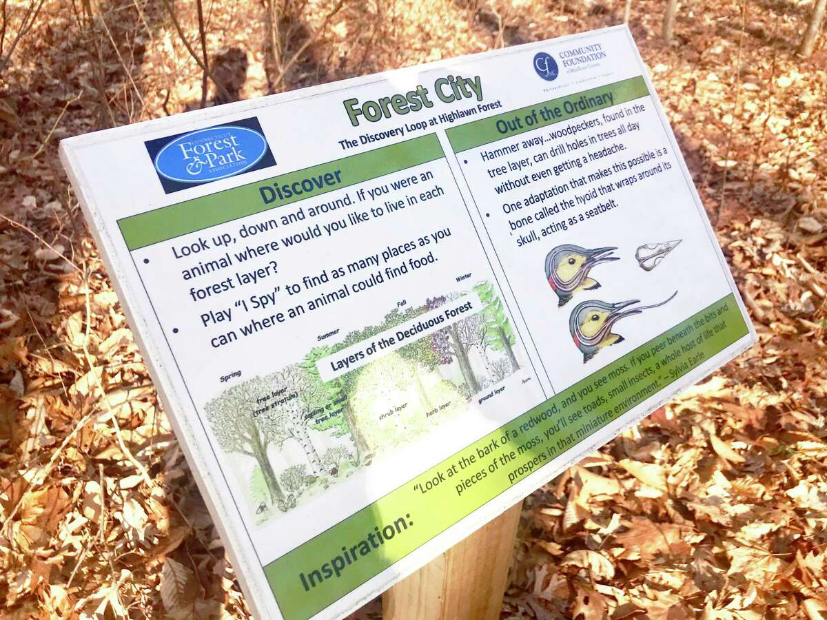 A sign along the Discovery Loop at Highlawn Forest, accessed at the Connecticut Forest and Parks Association headquarters at 16 Meriden Road in Middlefield, encourages hikers to play a game of “I Spy” with the area’s fauna.