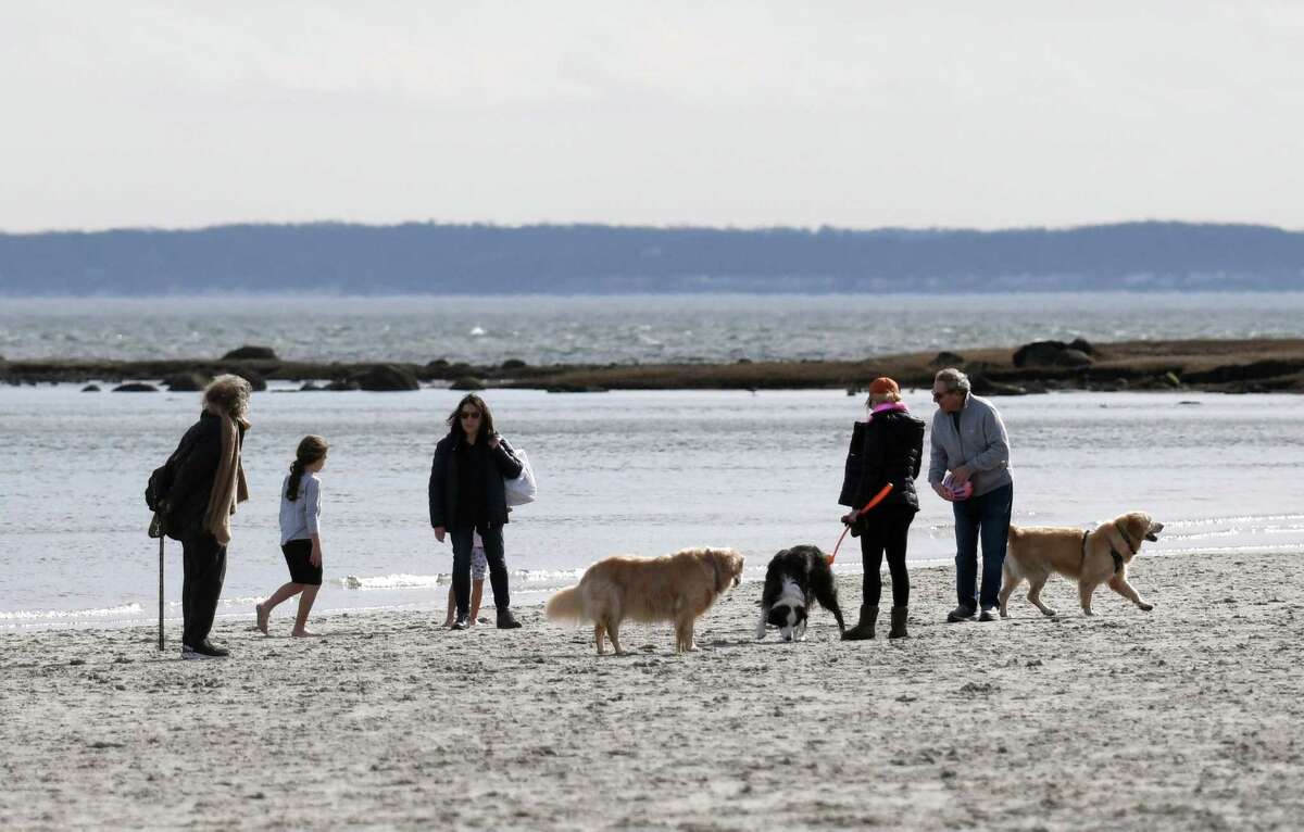 Locals and their dogs hang out on the beach at Greenwich Point Park in Old Greenwich, Conn. Wednesday, Feb. 23, 2022. 